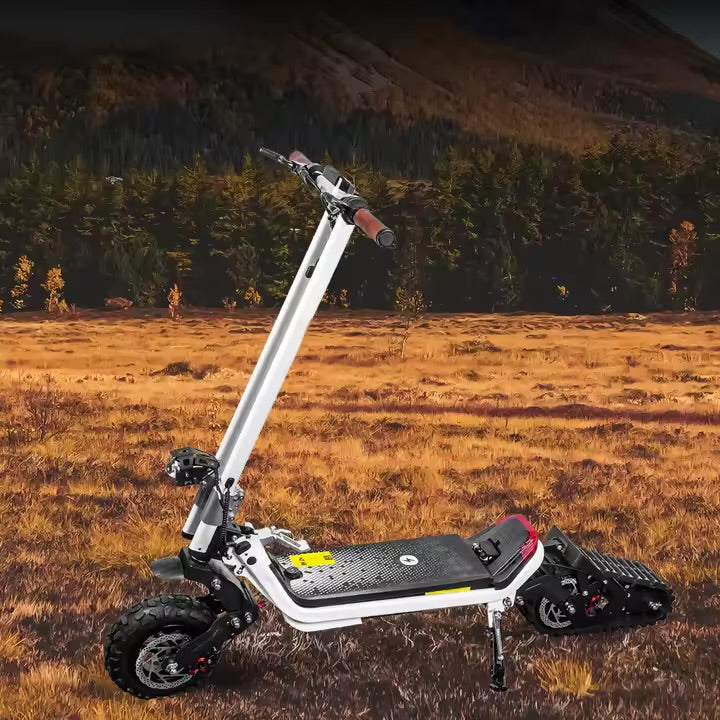 Trottinette Électrique 3-en-1 Route, Neige et Tout-Terrain